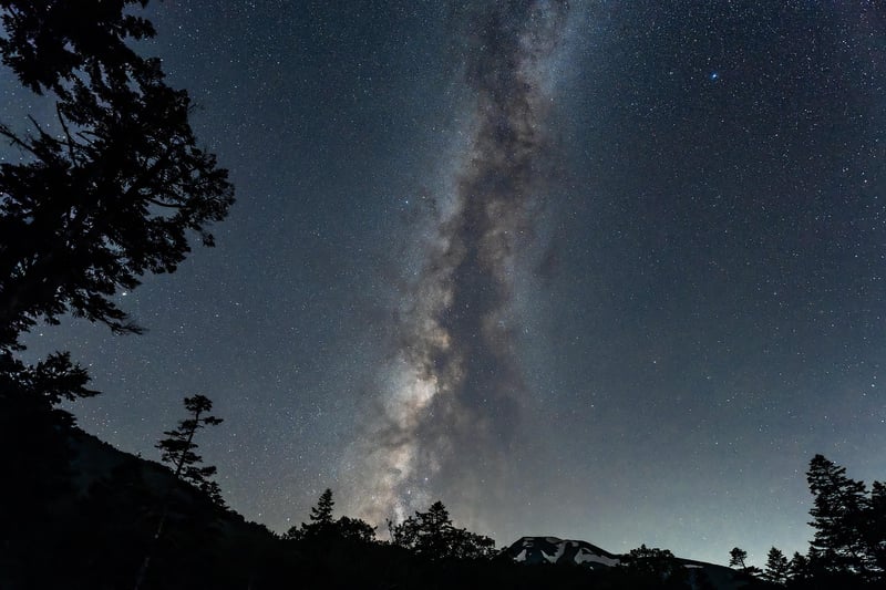 Milky Way in a Woodland Clearing